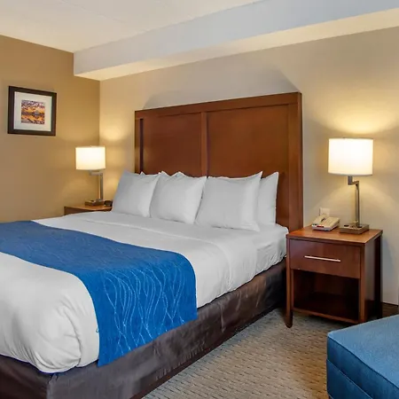 Comfort Inn Shady Grove - Gaithersburg - Rockville-2