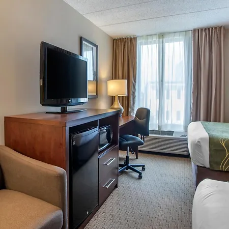 Comfort Inn Shady Grove - Gaithersburg - Rockville-3